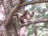 100_1593.jpg